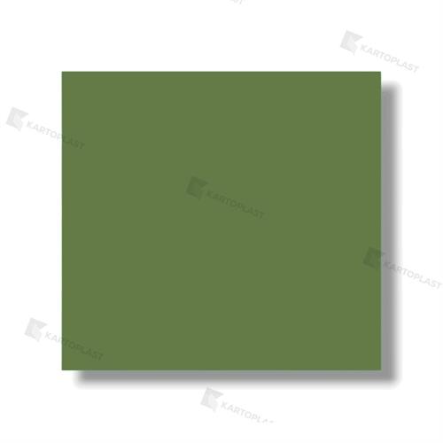 TOVAGLIE 100X120 ACCOPPIATE 4X50PZ VERDE