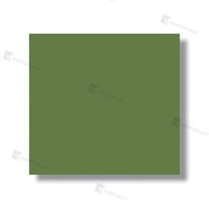 TOVAGLIE 100X120 ACCOPPIATE 4X50PZ VERDE