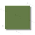 TOVAGLIE 100X120 ACCOPPIATE 4X50PZ VERDE