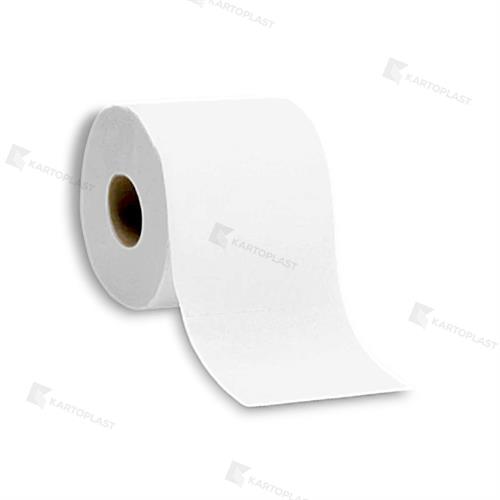 CARTA IGIENICA 10 ROTOLI X 12CF