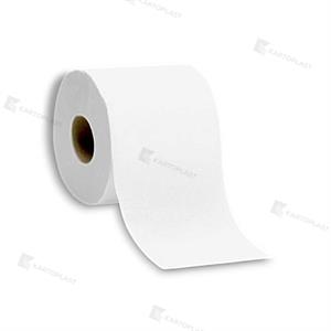 CARTA IGIENICA 2V x 6 RT FASCETTATA (12CF)