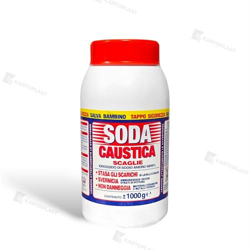 SODA CAUSTICA 1 KG (12)