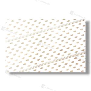 CARTA PELLEAGLIO X 10 KG