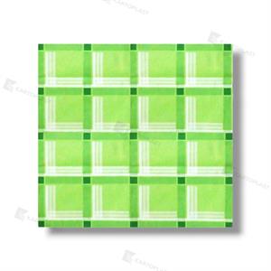 TOVAGLIE CARTA 100X100 250PZ TRAMA VERDE (Rete)