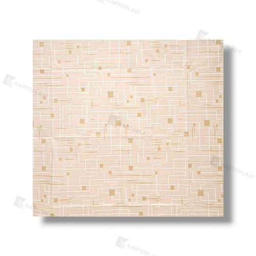 TOVAGLIE 100X100 ACCOPPIATE PE 5X50PZ ALLEGRA CORDA