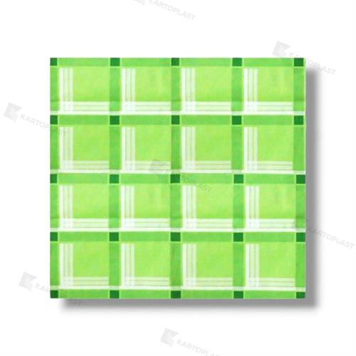 TOVAGLIE 100X100 ACCOPPIATE PE 5X50PZ GALLES VERDE