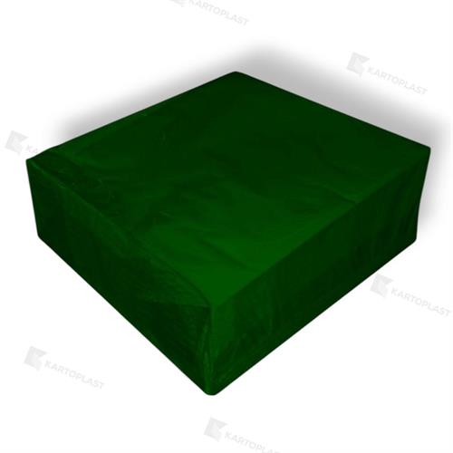 TOVAGLIOLI 40X40 P/P2V 50PZ VERDE (24)