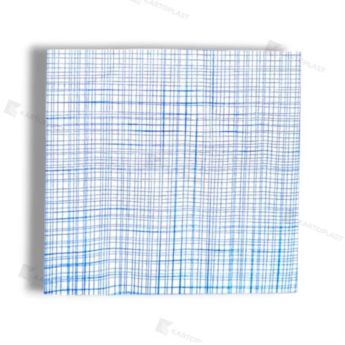 TOVAGLIOLO RIGA MODERNA BIANCO BLU 40X40 40PZ (12)