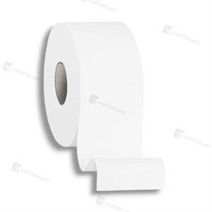 CARTA IGIENICA MINI JUMBO 2V AQUASTREAM 12RT